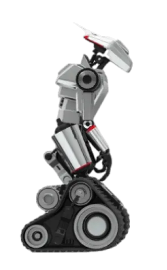 Robo Erectus